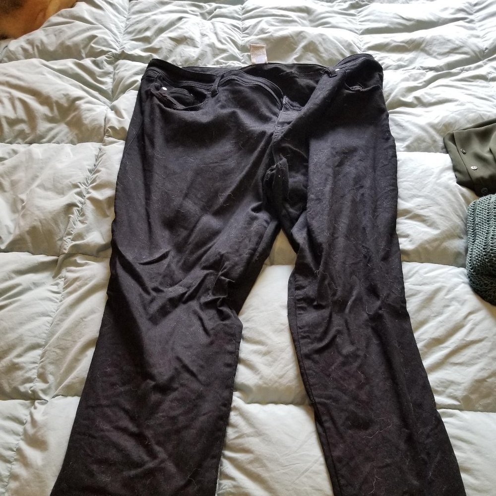 Torrid Black Jeans